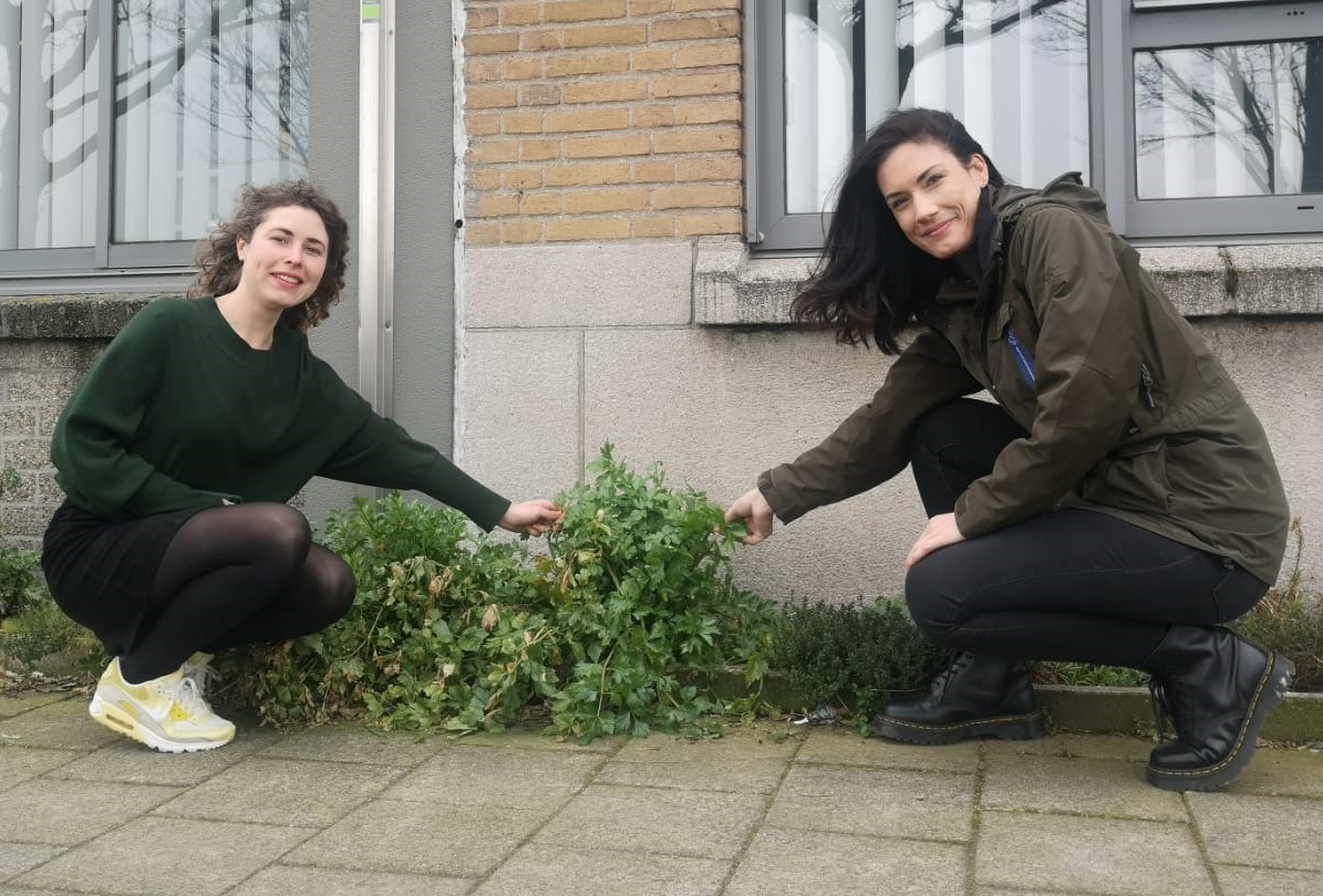 Landbouw, natuur en voedsel zijn volop in beweging. Zo ook […]