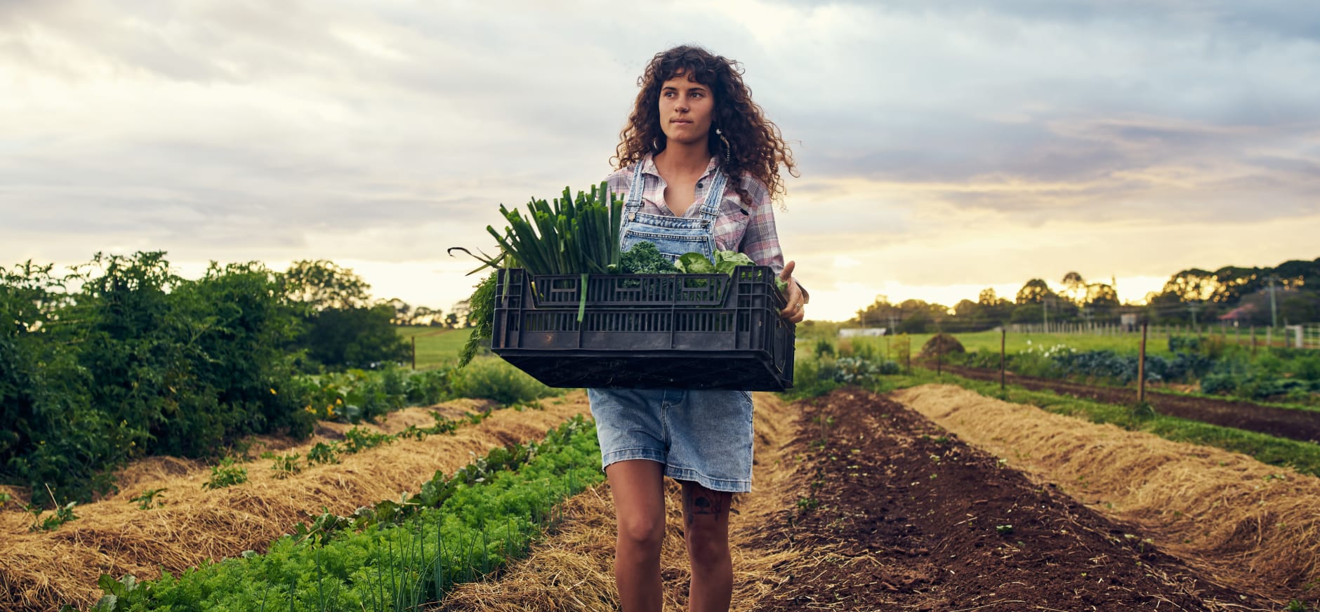 Bier, brood, bonen, zoete honing, appels en peren. Het groeit […]