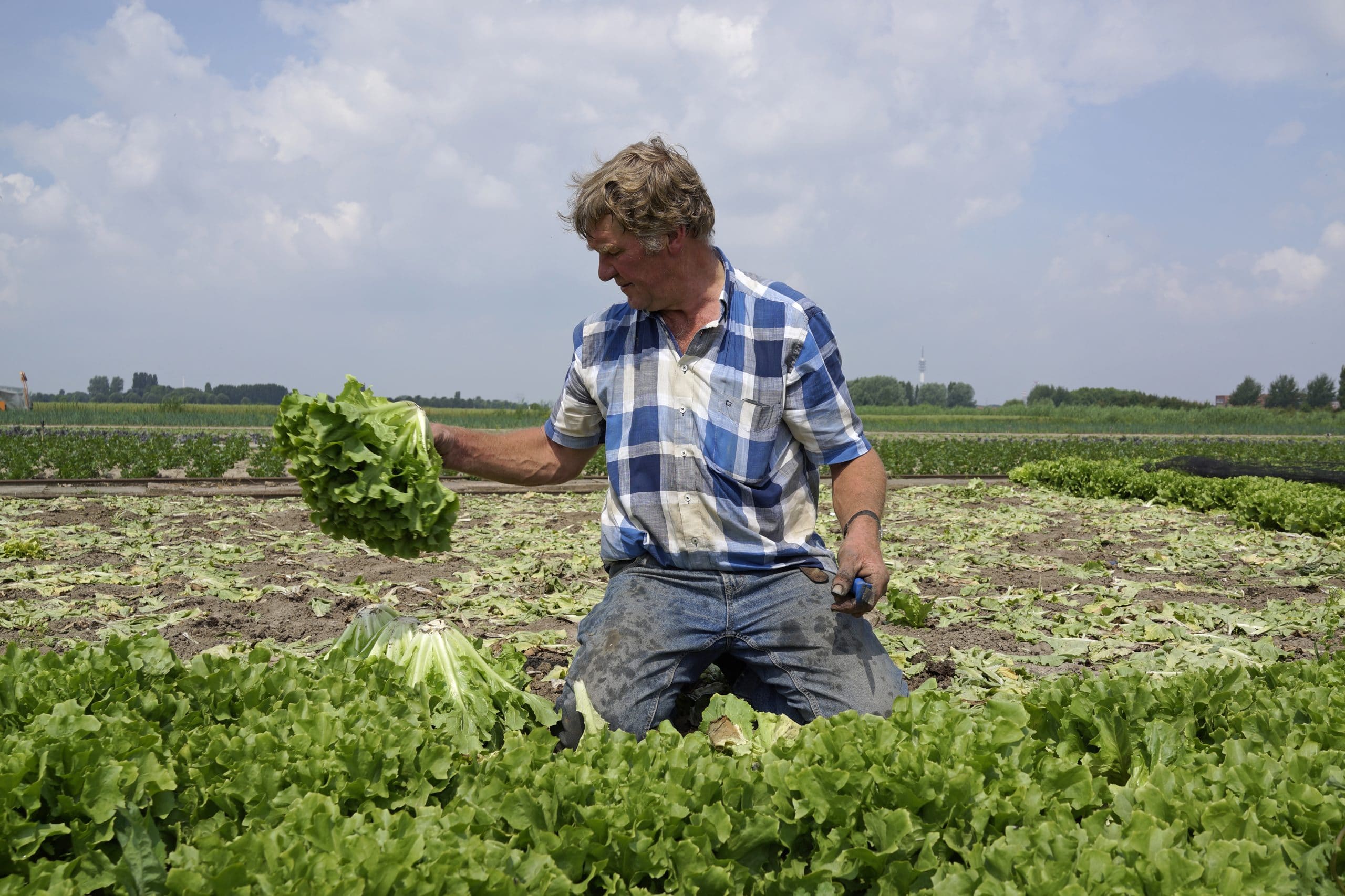 Op zaterdag 2 juli openen de burgemeester van Albrandswaard, Jolanda […]