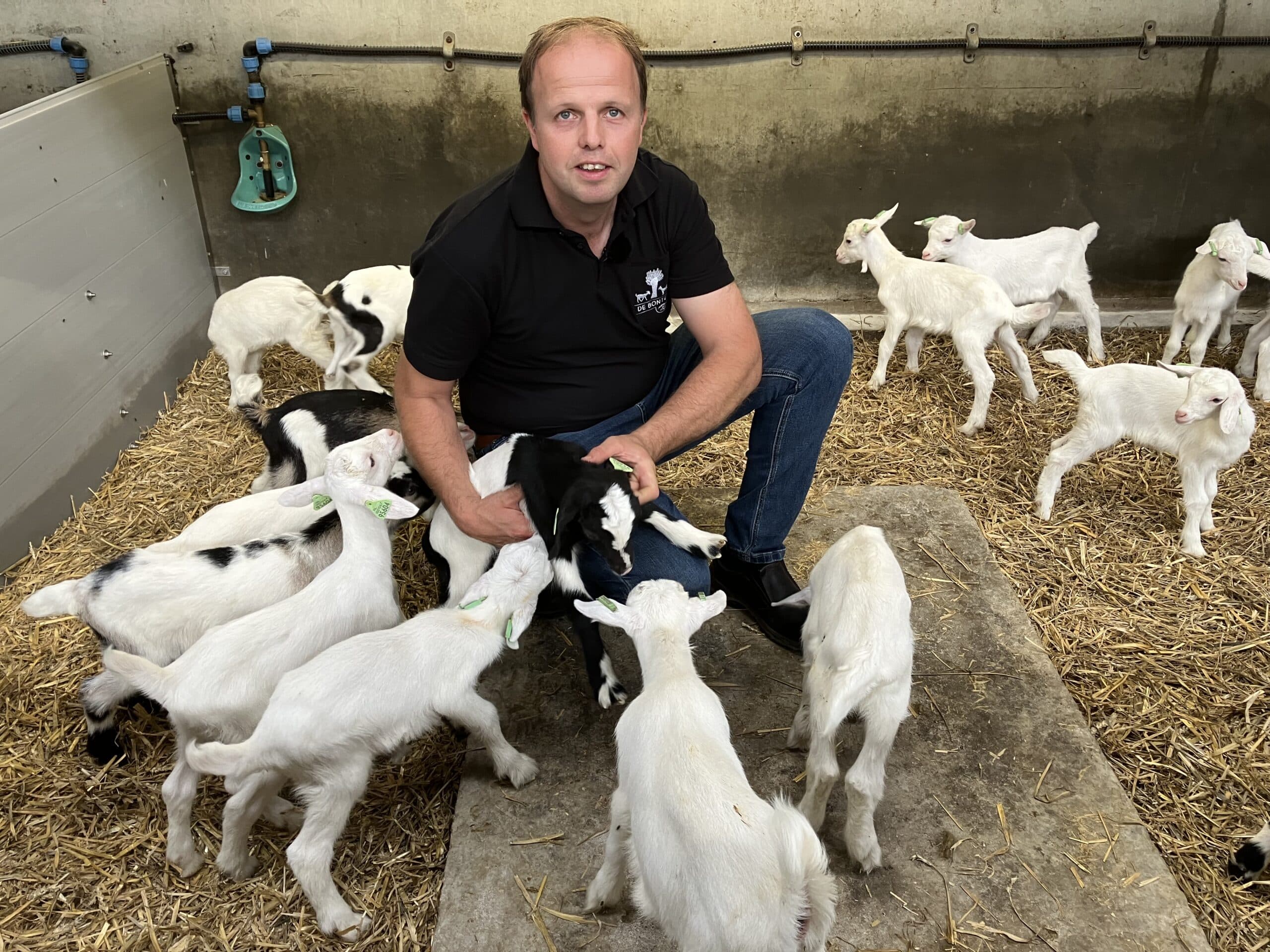 Zwarte geiten, witte geiten, bonte geiten. Voor Mart-Jan de Jong […]