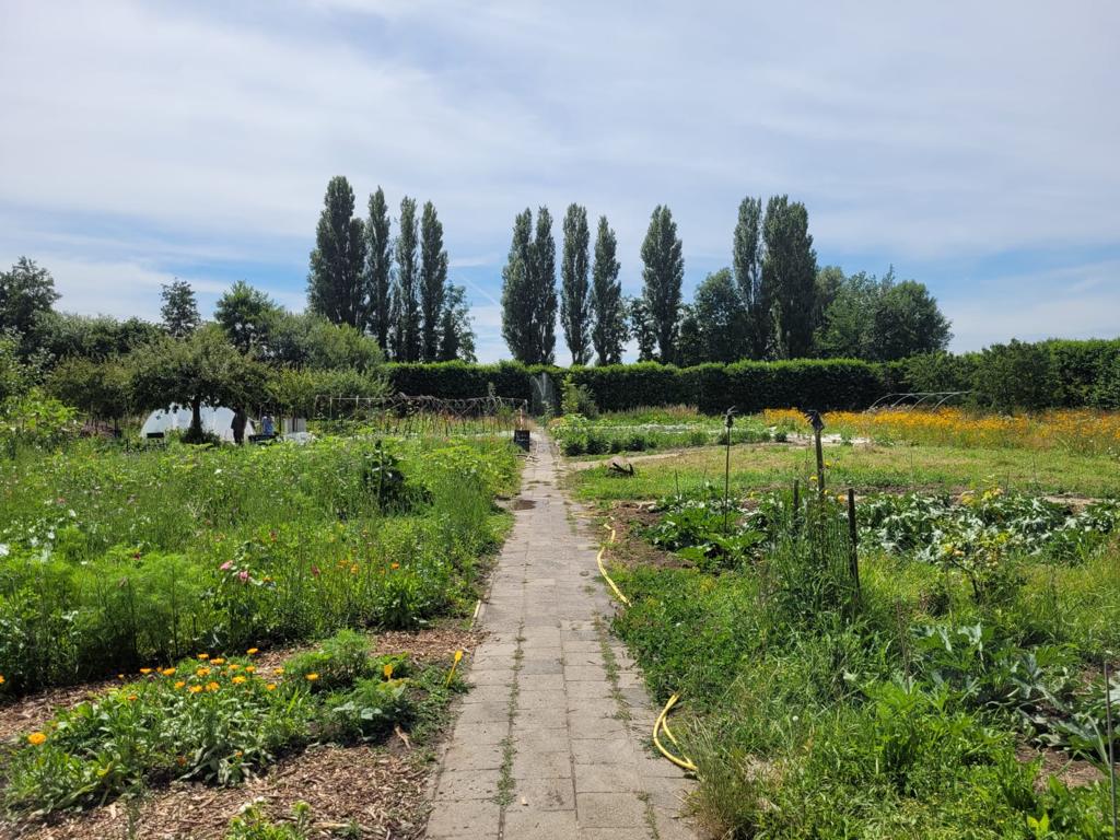 Begin 2022 is de moestuin op boerderij de Buytenhof in […]