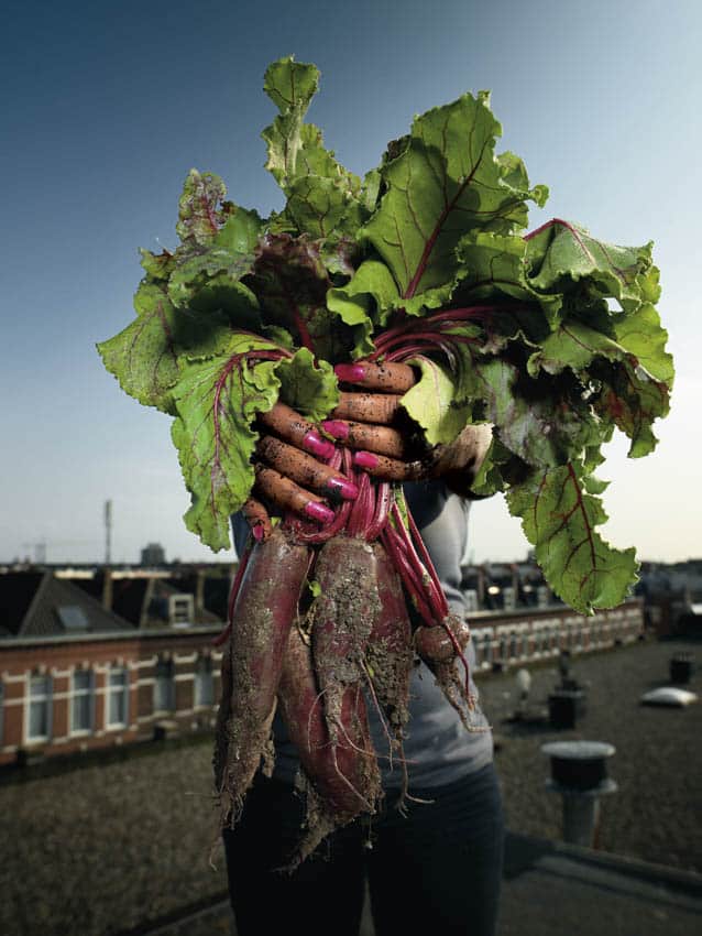 De blijdschap is groot: Rotterdamse Oogst heeft een officiële marktvergunning […]