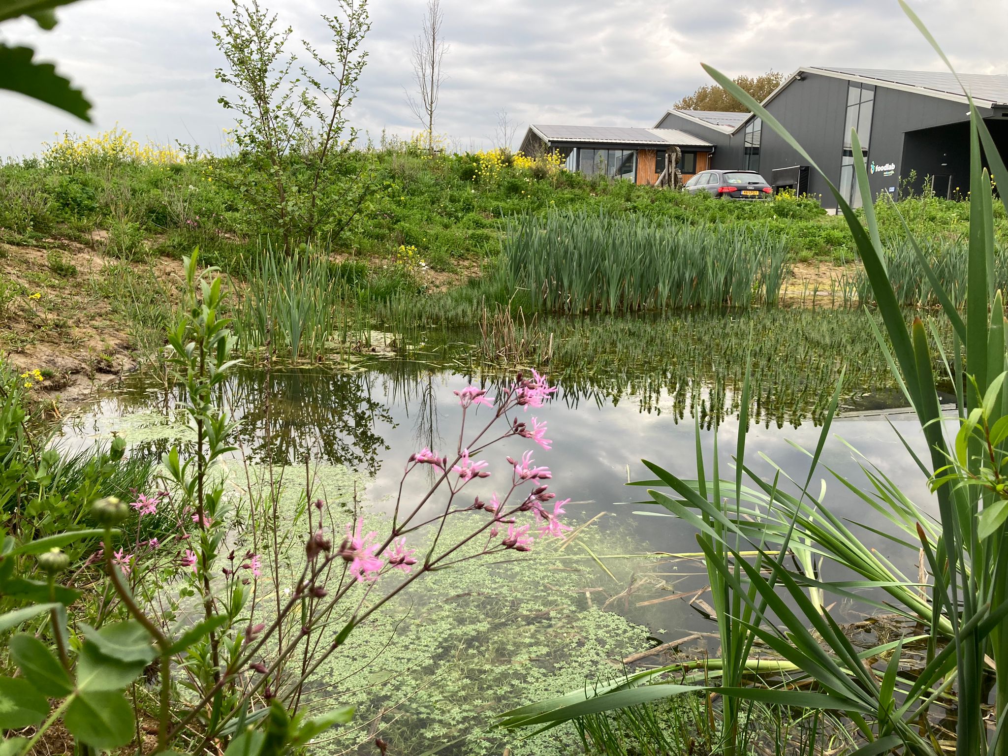 Op woensdagmiddag 14 juni organiseren we een excursie naar het […]