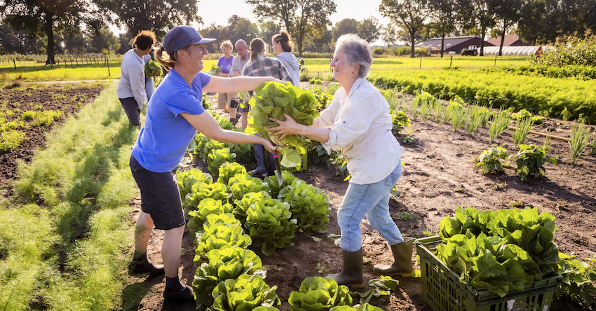 De tweede Herenboerderij bij Rotterdam is onlangs voorzichtig gestart. Aan […]