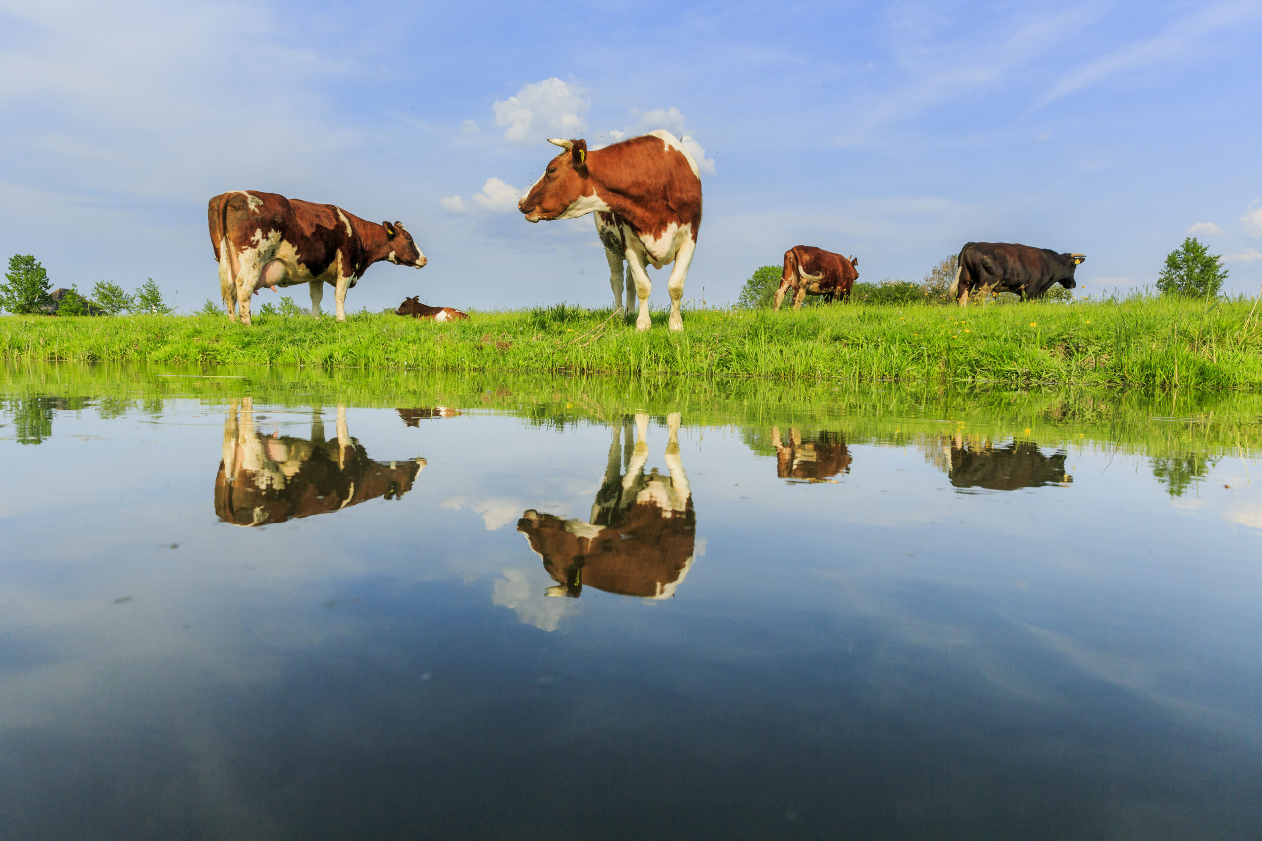 Wij.land is een stichting met een missie: samen met boeren […]